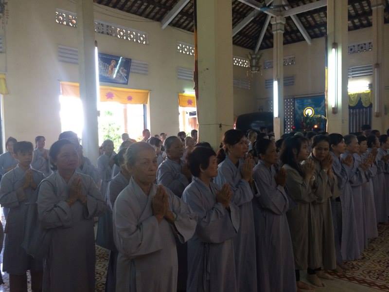 cung duong truong ha 2017